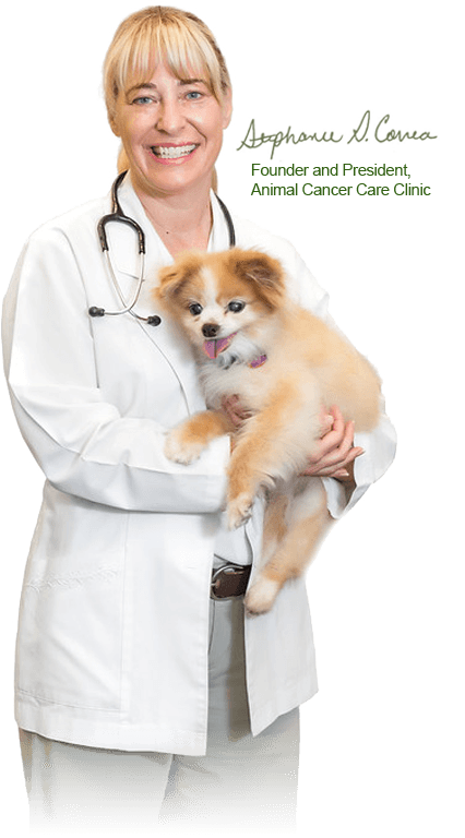 Animal Cancer Care Clinic – The leading answer to pet cancer.